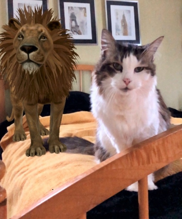 Google AR Lily and Lion