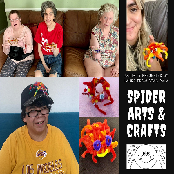 Spider Arts and Crafts W